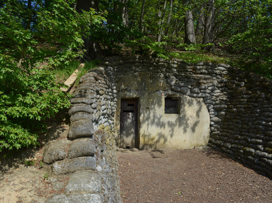 Lettenberg Bunkers景点图片