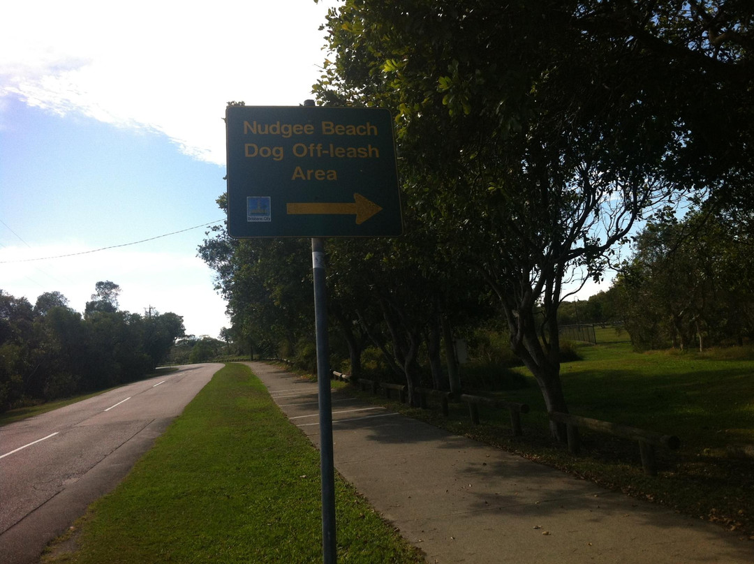 Tuckeroo Park-布里斯班必去景点