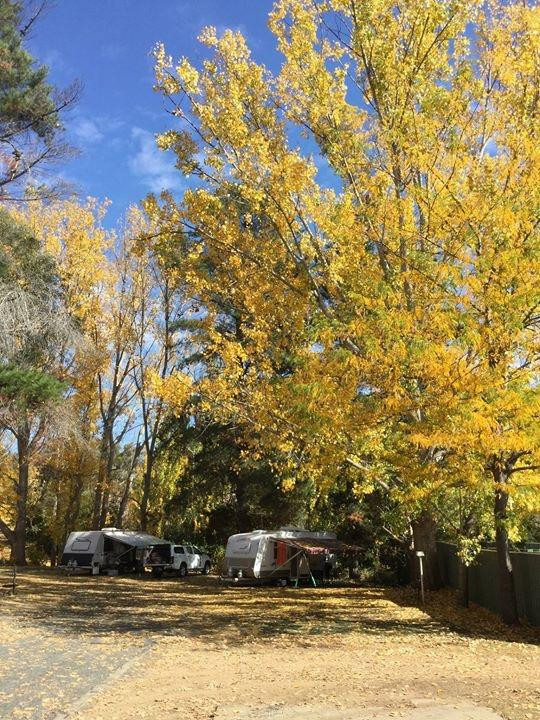 Cooma Holiday Park