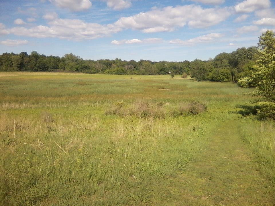 River Bend Nature Center-法里博必去景点