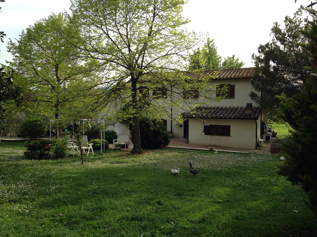 Bed and Breakfast Casale Isorella