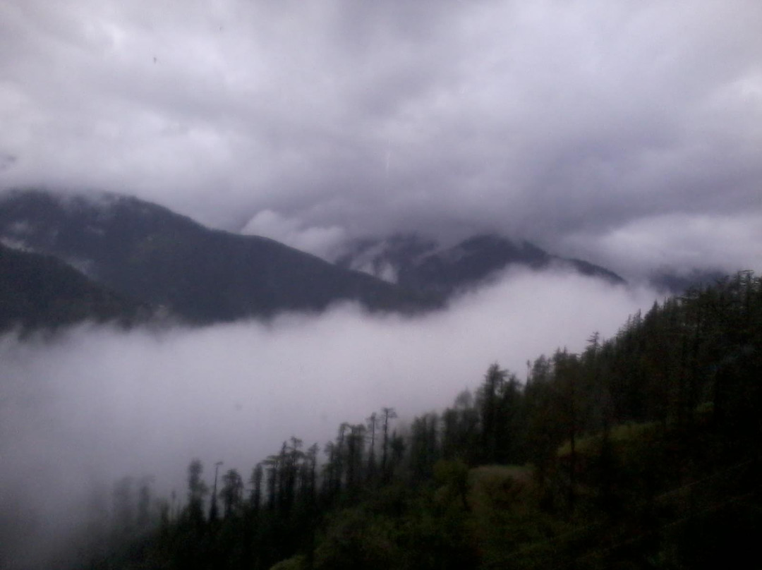 Forest Gaze at Misty Meadows East Home Stay主图