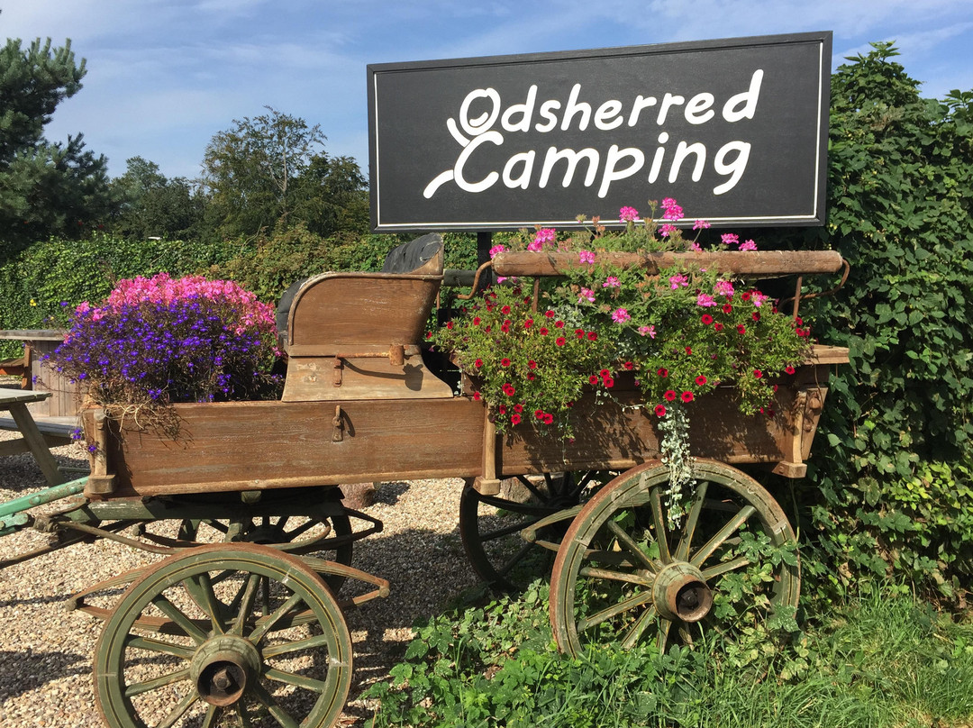Odsherred Camping