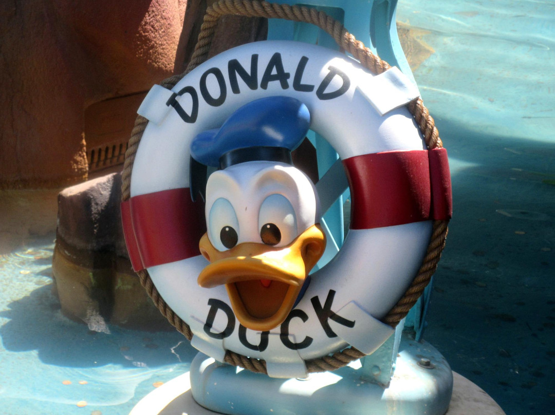 Donald's Boat景点图片