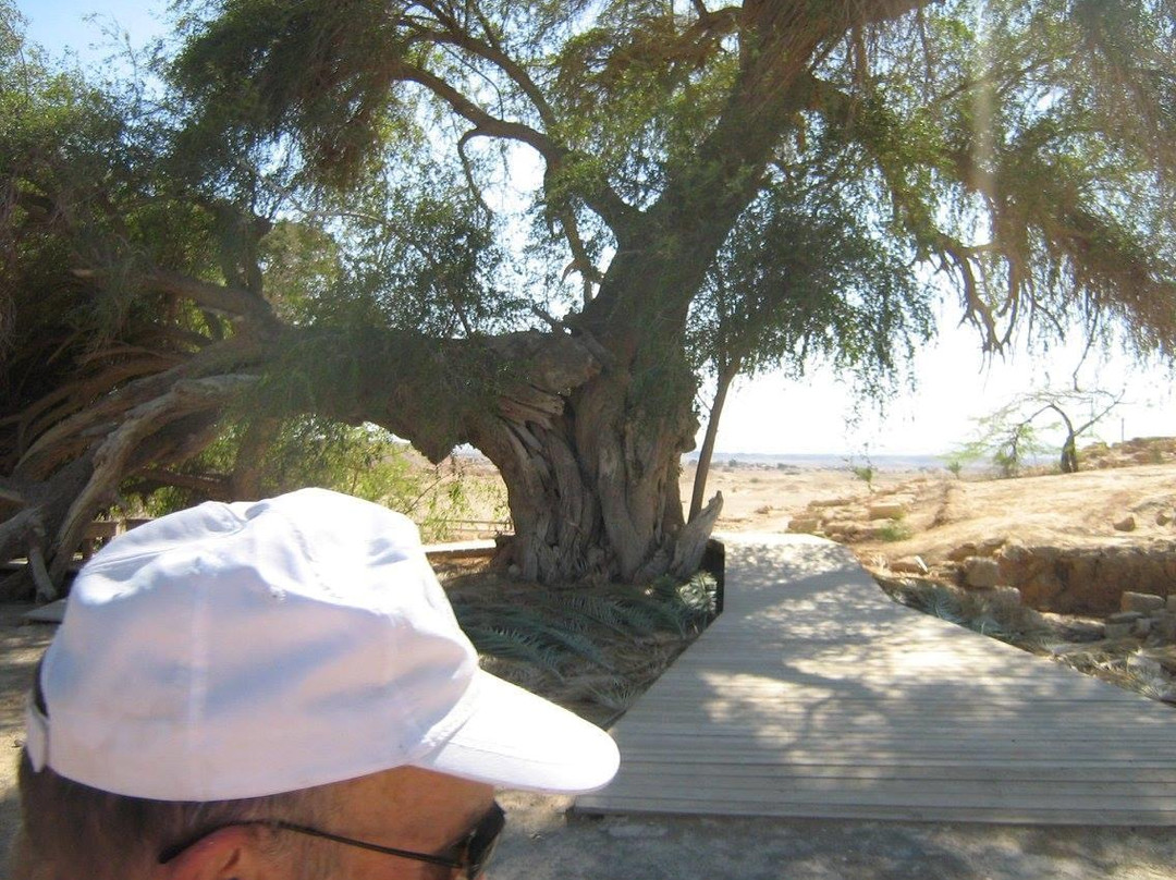 Biblical Tamar Park-Hazeva必去景点