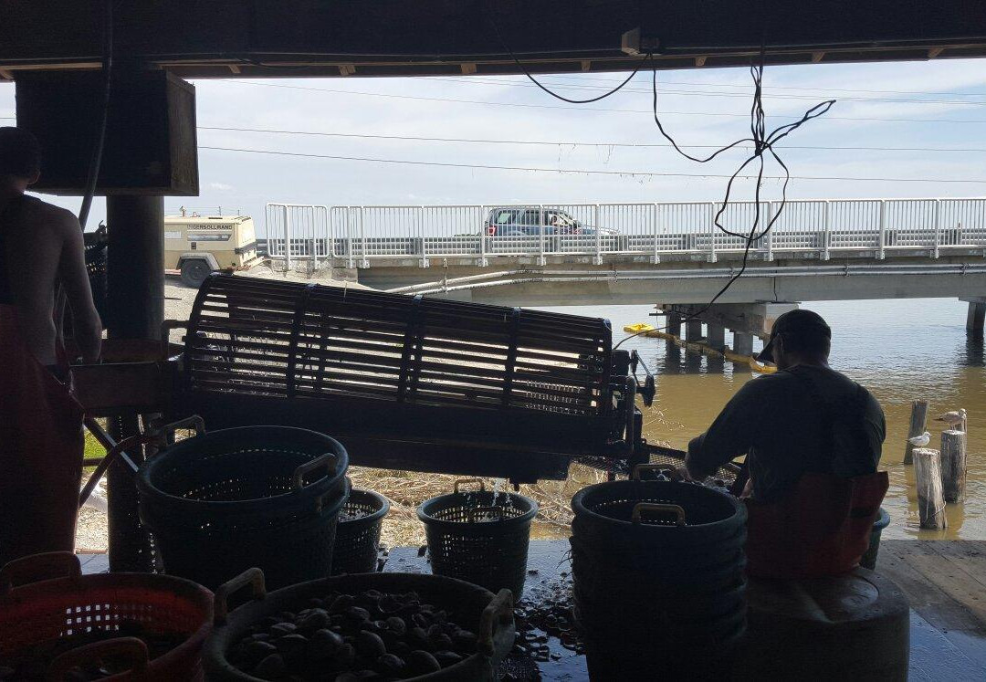 Southern Cross Sea Farms-锡达礁必去景点