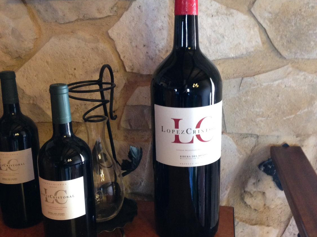 Bodegas Lopez Cristobal景点图片