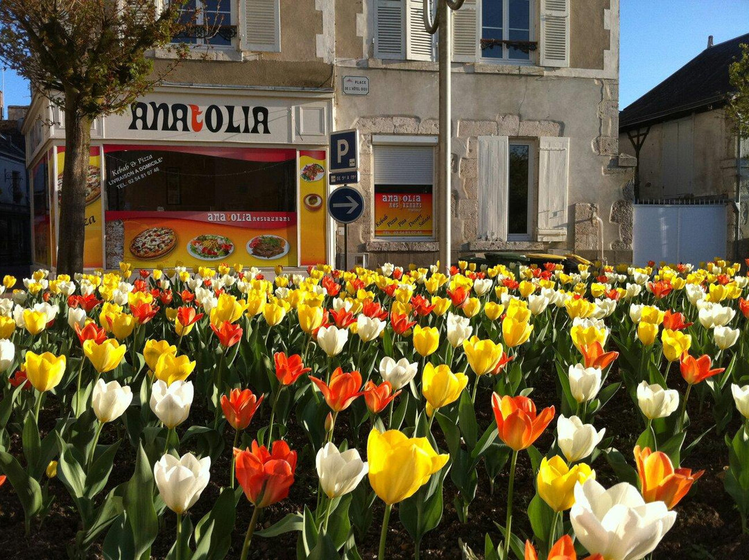 Muides sur Loire旅游攻略图片