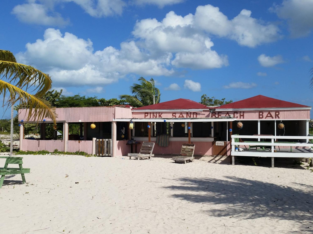 Pink Sand Beach-巴布达必去景点