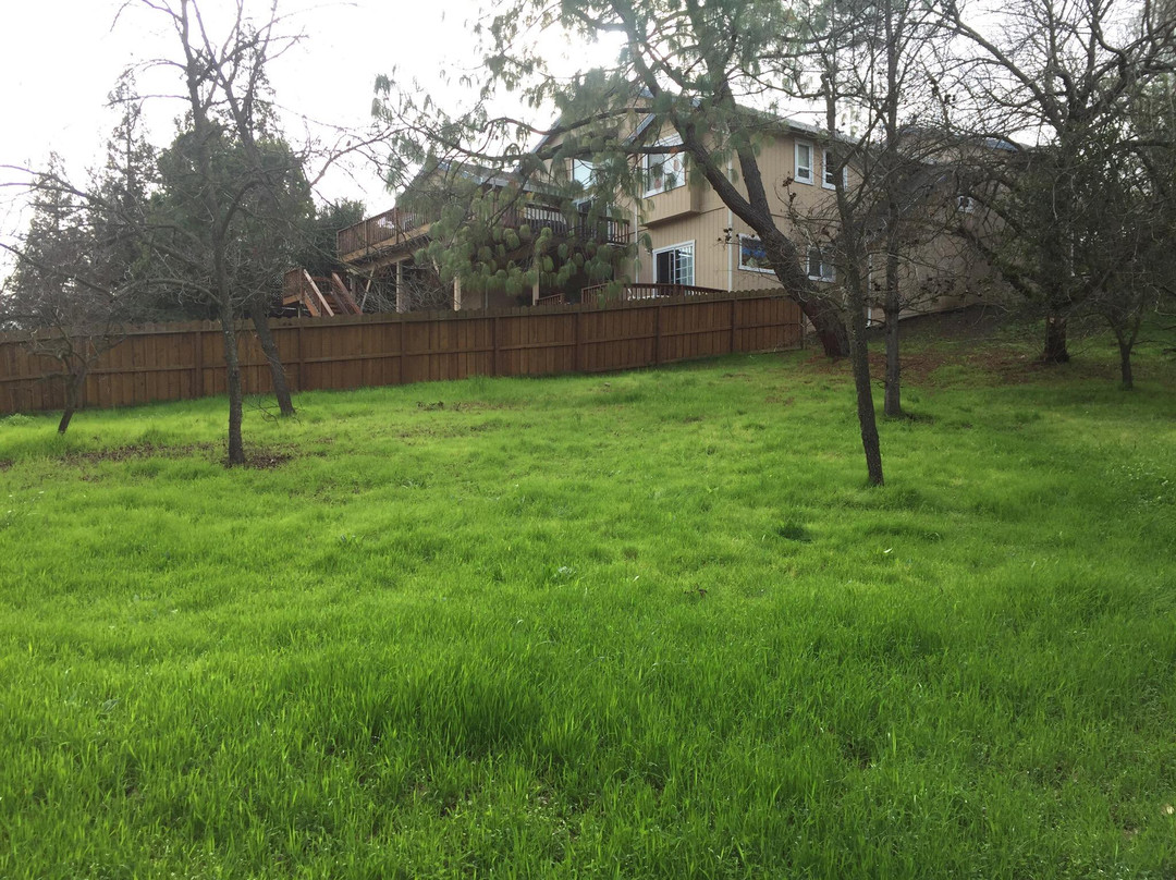 Markham Nature Park and Arboretum-康科德必去景点