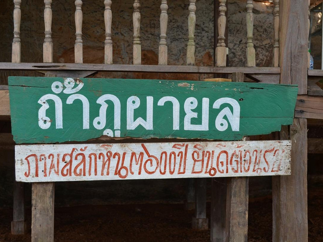 Phu Pha Yon National Park-叨爱必去景点