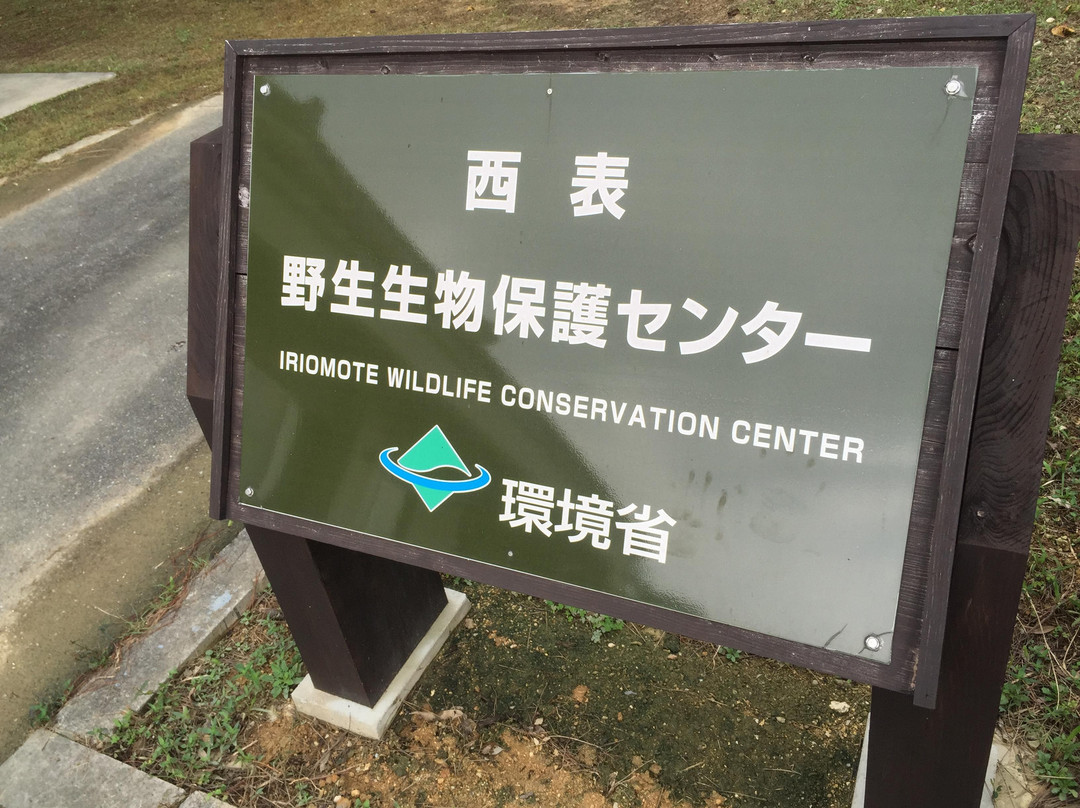 Iriomote Wildlife Conservation Center景点图片