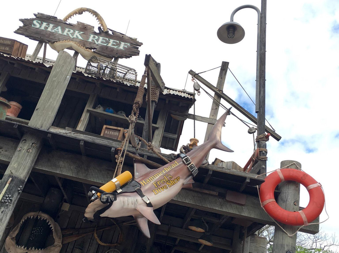 Shark Reef-奥兰多必去景点