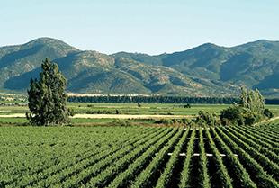 Vina  Los Vascos-圣克鲁斯必去景点