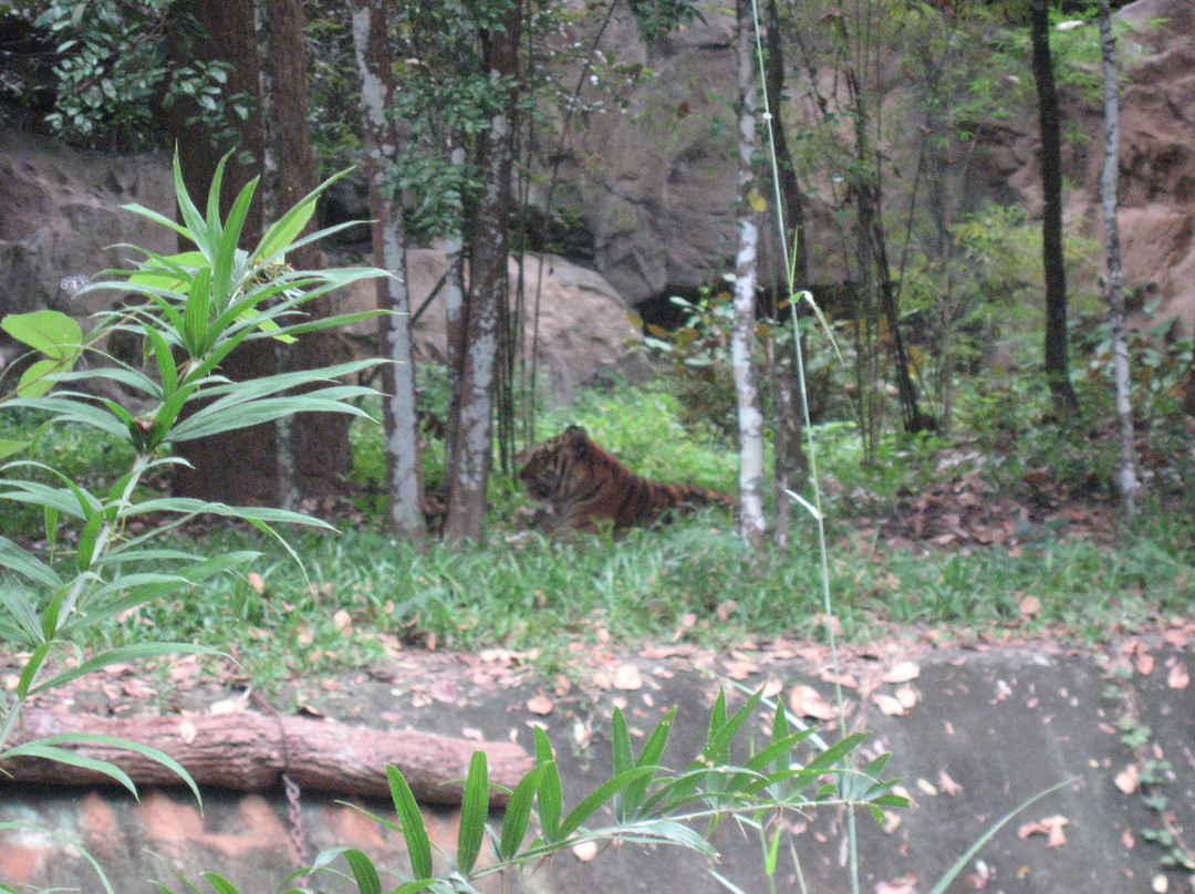 Ubon Zoo景点图片