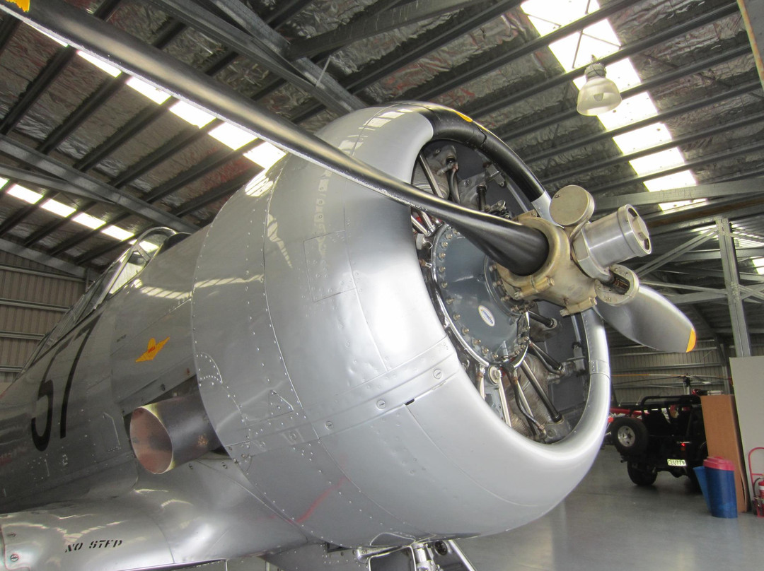 Warbird Adventure Rides-奥克兰中心地区必去景点