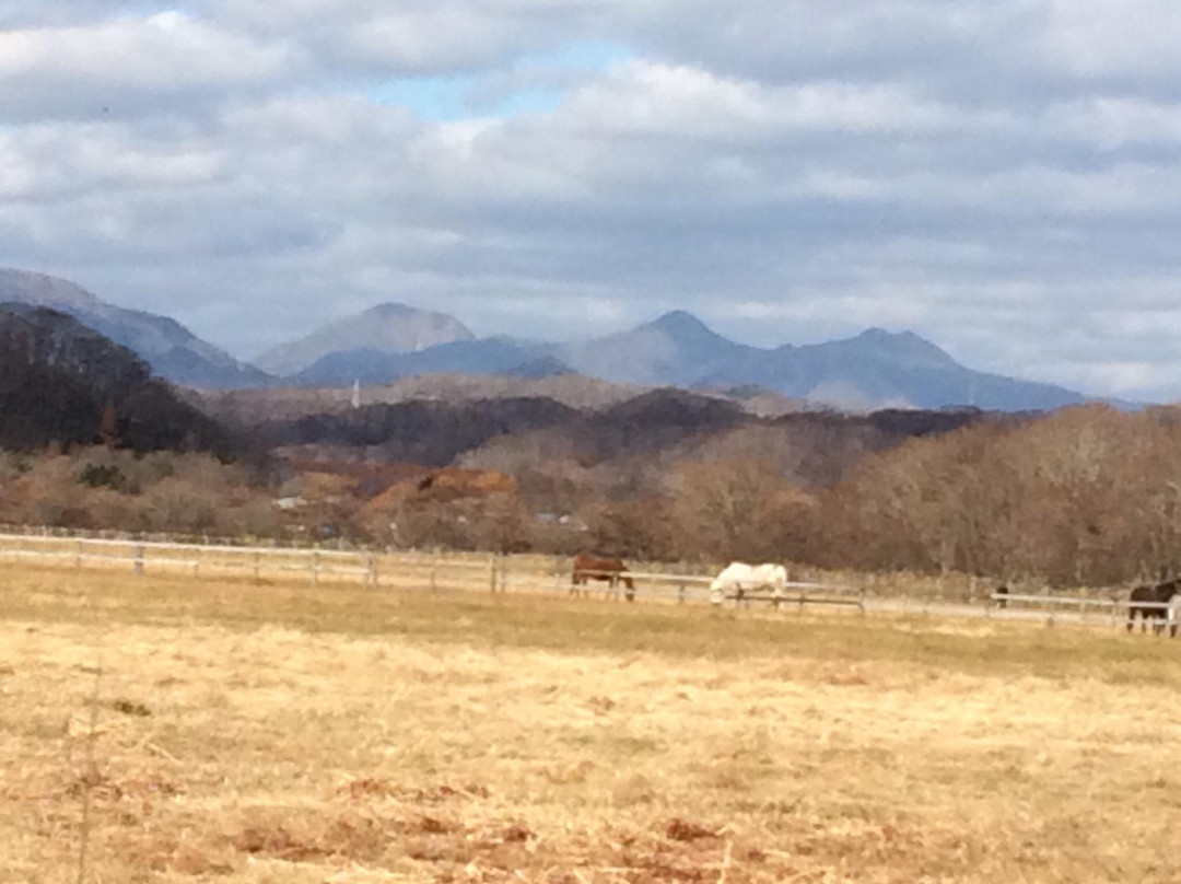 Shiraoi Tourist Information Center-白老町必去景点