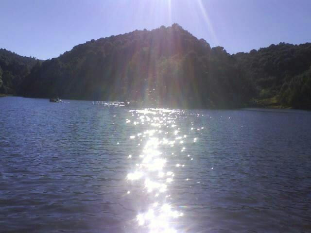 Hotel Los Sauces Villa del Carbon主图