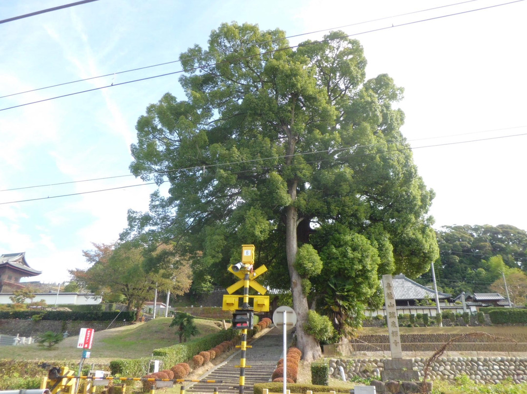 Zuizenji Temple-犬山市必去景点