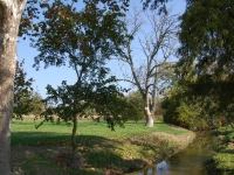 Bluffton Golf Club-Bluffton必去景点