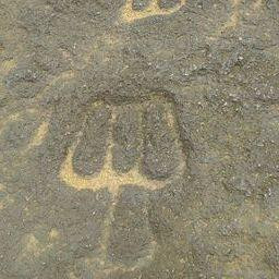 Prehistoric Rock Art Gallery-Rivona必去景点