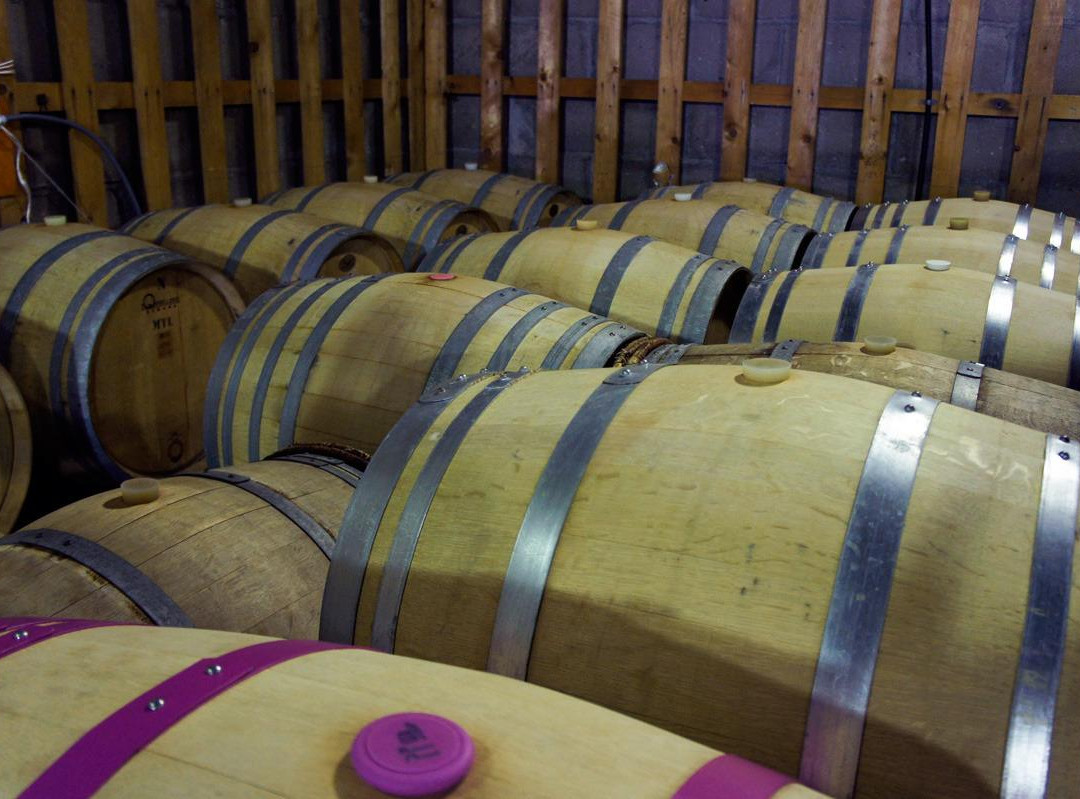 Grace Wine Chitose Winery-千岁市必去景点