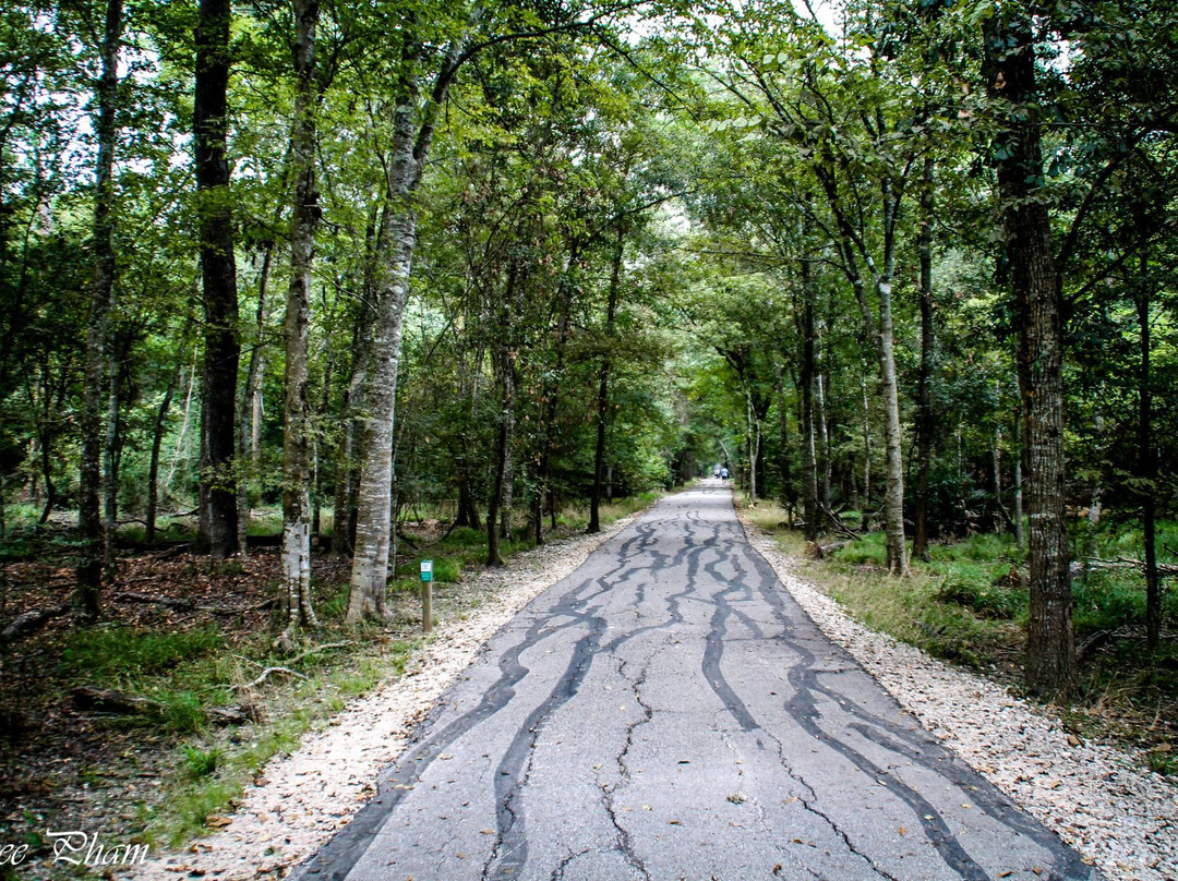 汉布尔旅游攻略图片