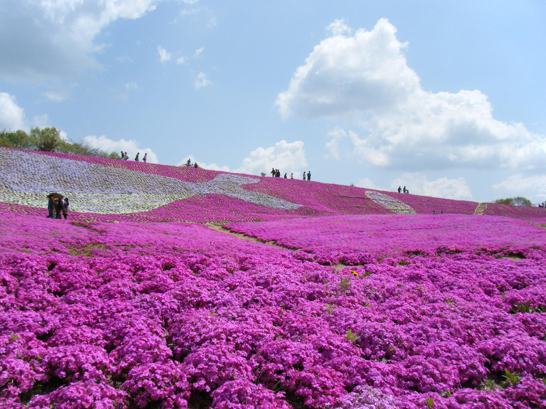 Kamu no Sato Rokutan-世罗町必去景点