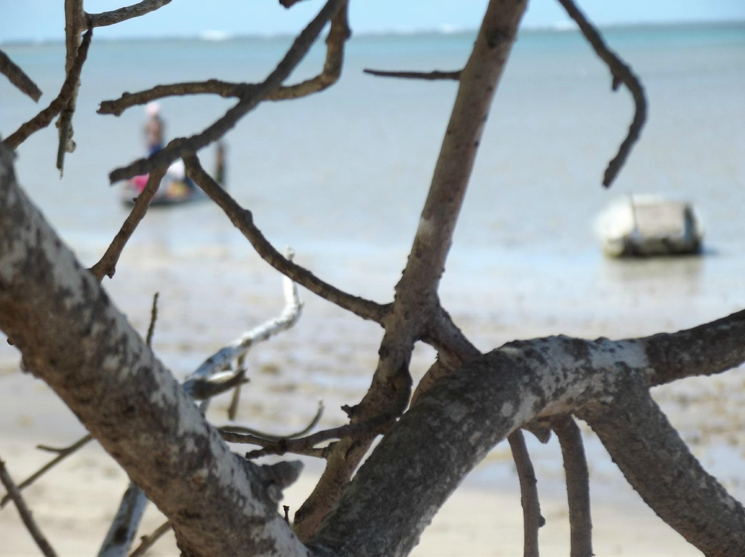 Pousada das Acacias主图