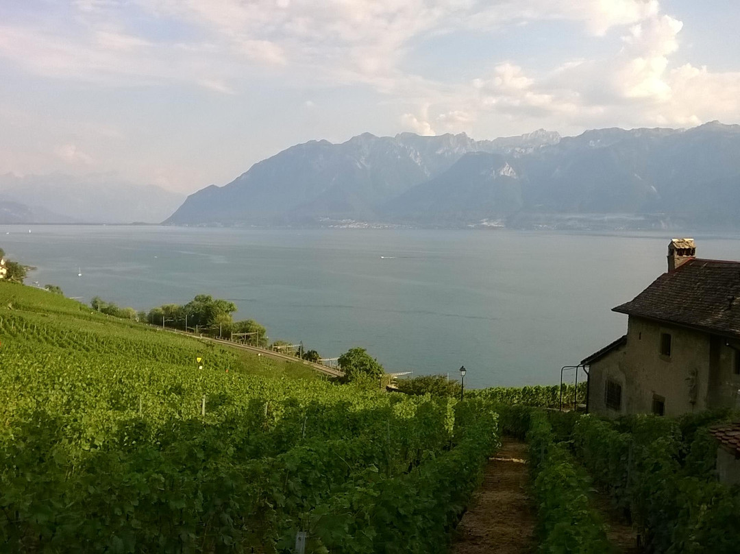 Terres de Lavaux-吕特里必去景点