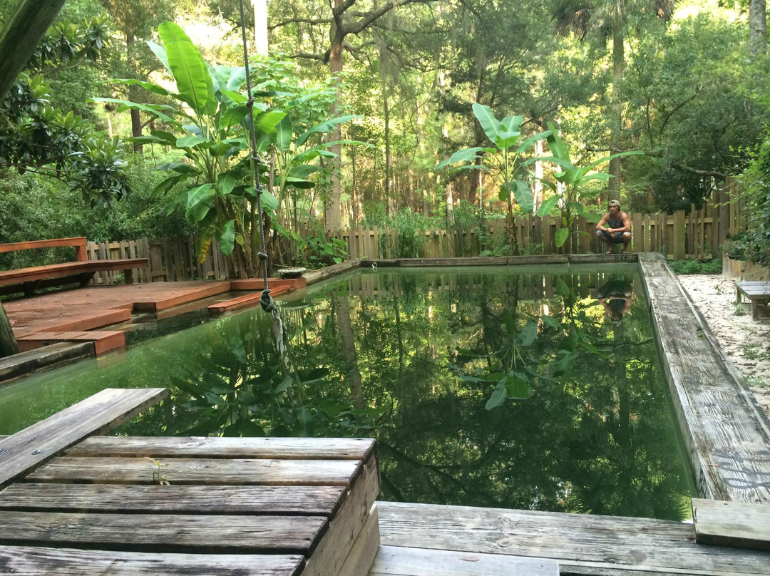 The Hostel in the Forest