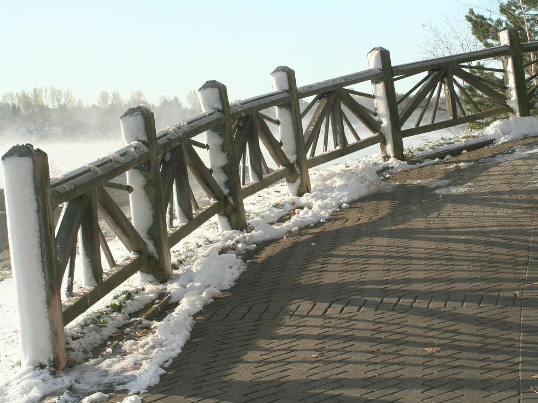 Bell Park-Sudbury必去景点