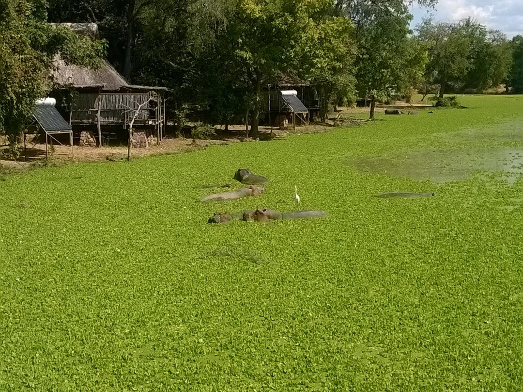 the Bush-Spa-南卢安瓜国家公园必去景点