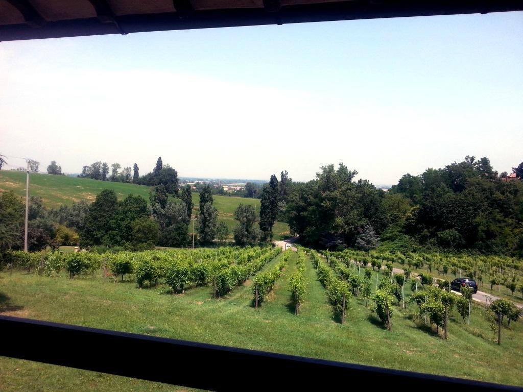 Agriturismo Ariola景点图片