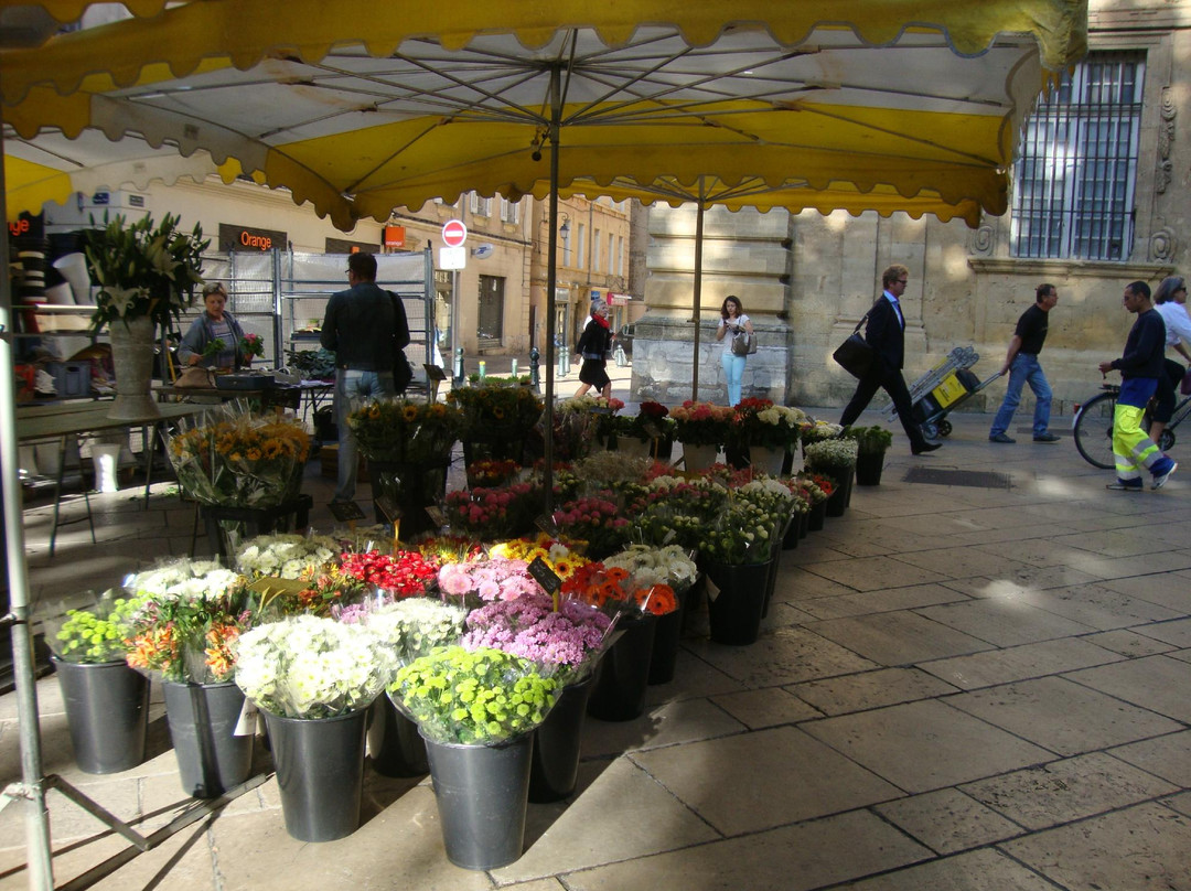 Marche aux Fleurs-普罗旺斯必去景点