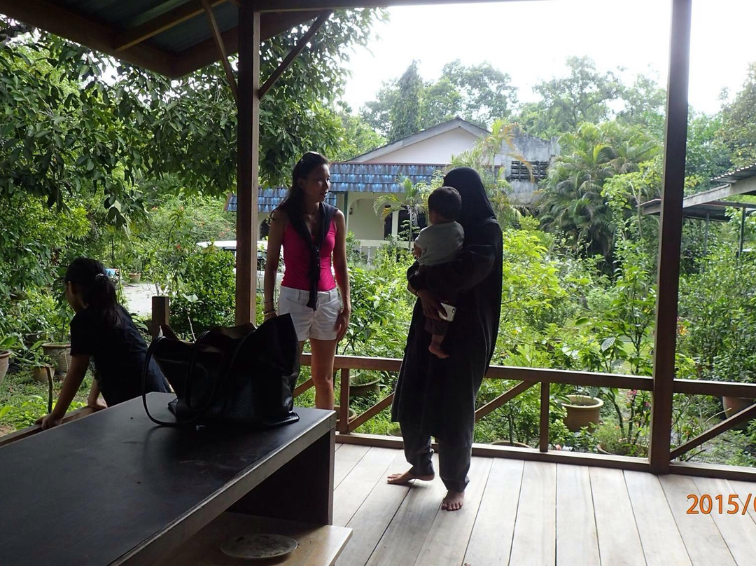 Herbwalk in Langkawi-兰卡威必去景点