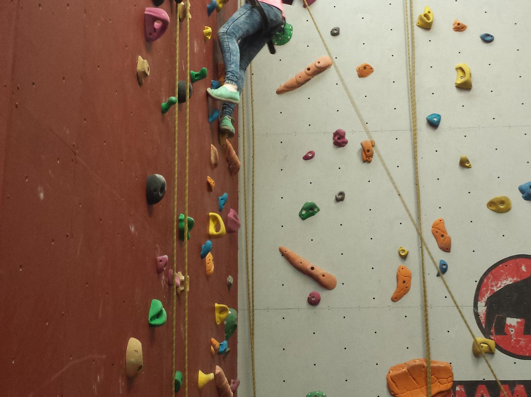 Rock Antics LTD-米德尔斯堡必去景点