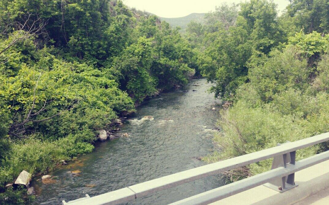 Ayres Natural Bridge景点图片