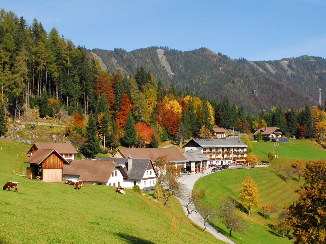 Ferlach酒店住宿-Bed&Breakfast Lausegger