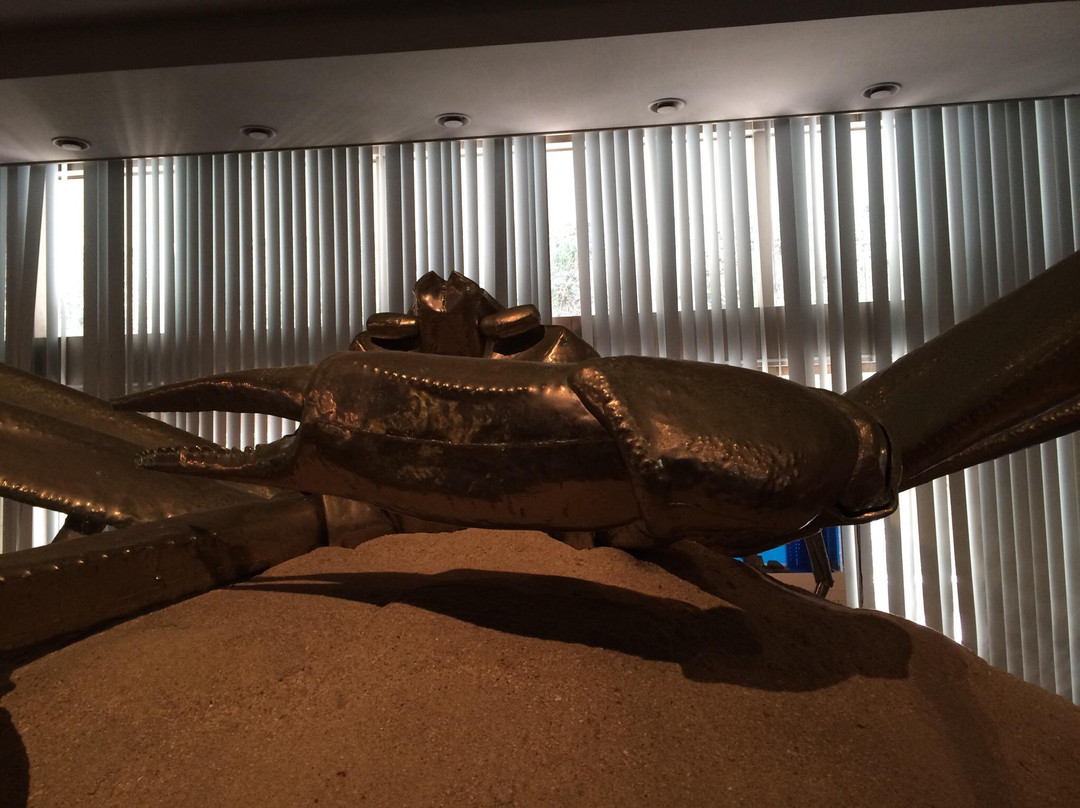 Echizen Crab Museum景点图片