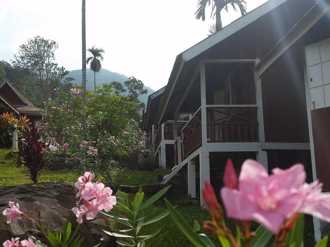 Ayer Raja Tioman Resort主图