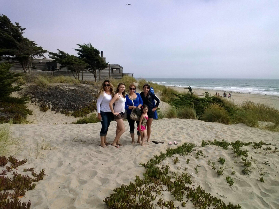 Sunset State Beach-沃森维尔必去景点