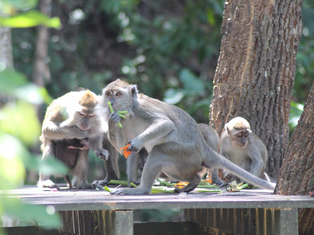 Rasa Ria Reserve By Shangri-la-斗亚兰必去景点