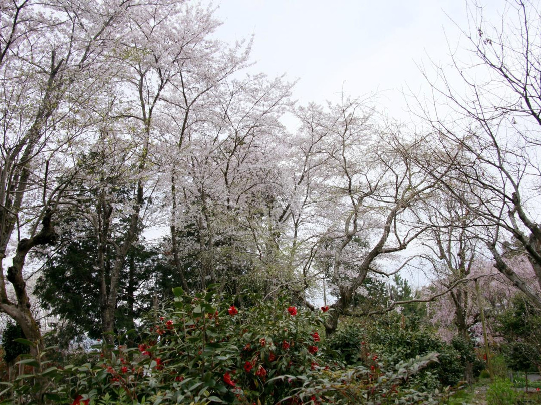 Eshin-in Temple-宇治市必去景点