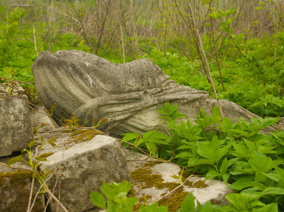 Old Polish Cemetery