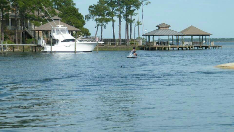 Dolphin Tales-橙色海湾必去景点
