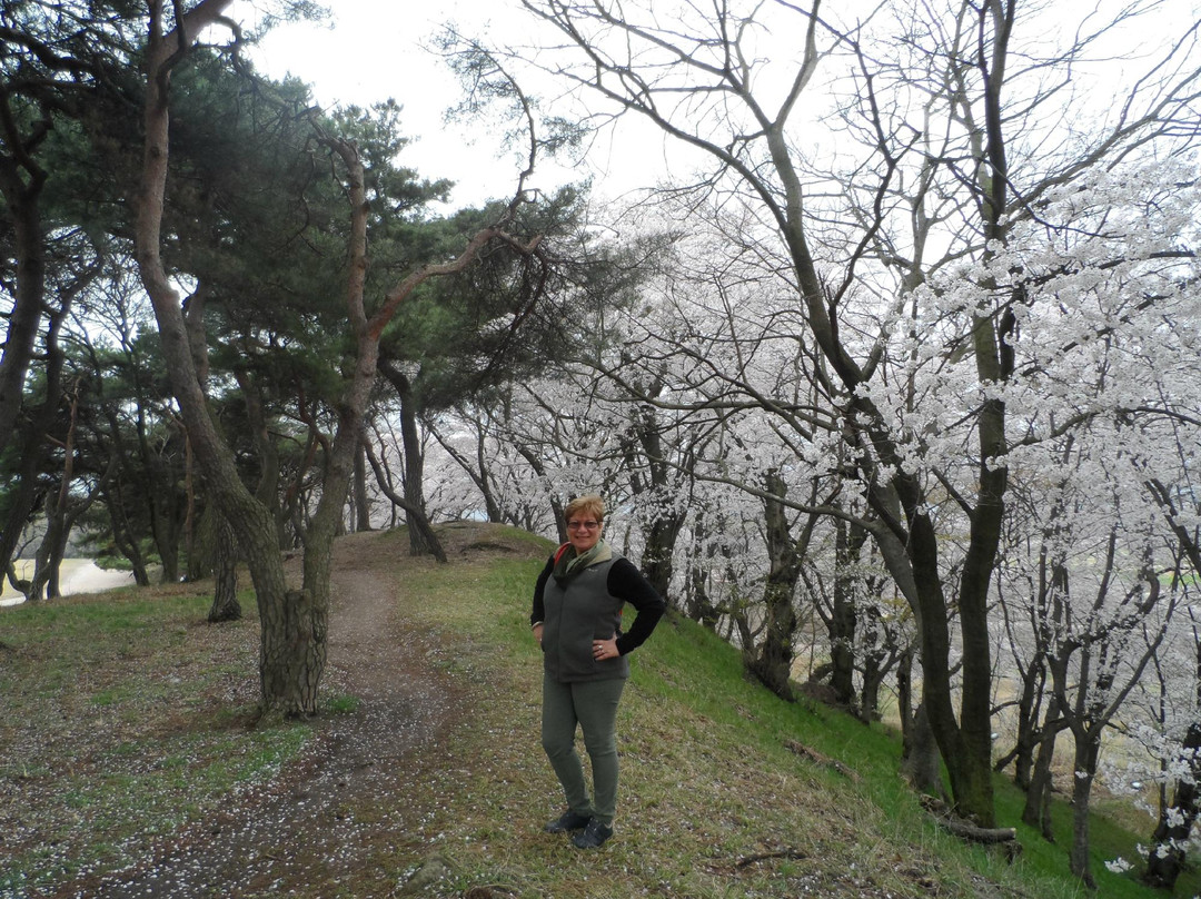 Seokbinggo (Stone Ice Storage)-庆州市必去景点