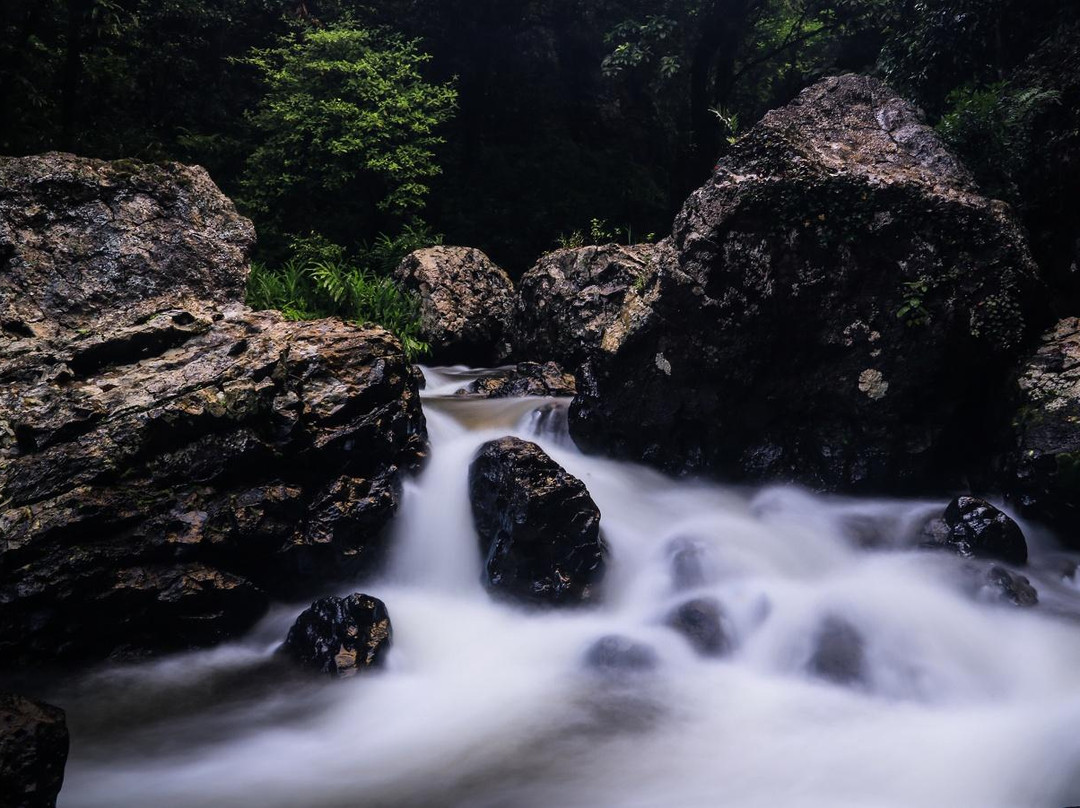Zillie Falls-Millaa Millaa必去景点