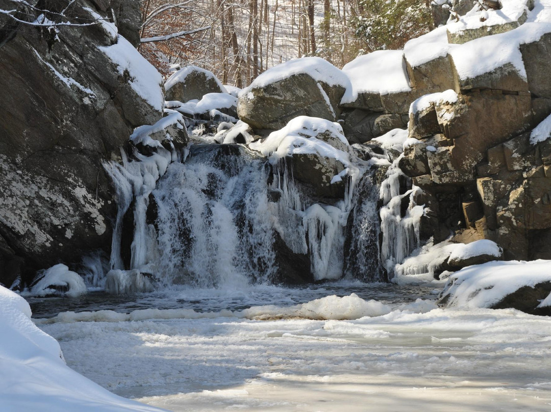 Scott's Run Nature Preserve景点图片