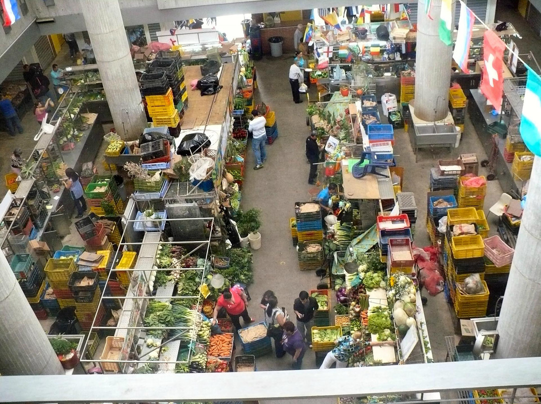 Mercado Municipal de Chacao景点图片